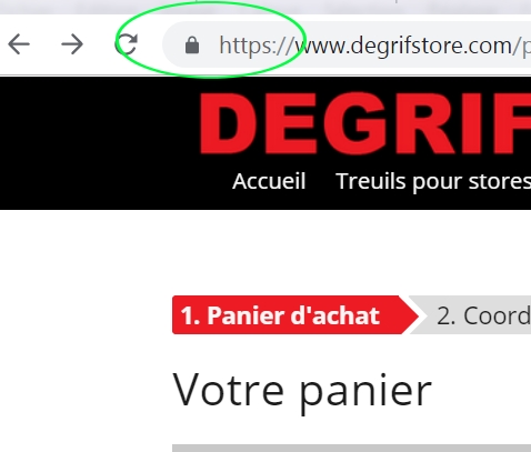 capture_https.jpg